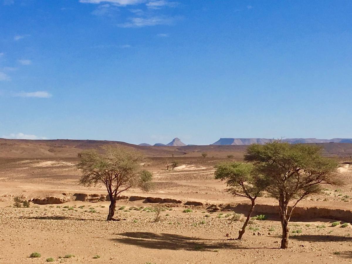 Camp Desert Stars M'Hamid Dış mekan fotoğraf