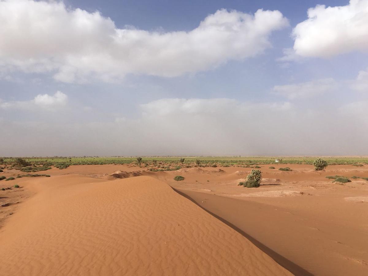 Camp Desert Stars M'Hamid Dış mekan fotoğraf