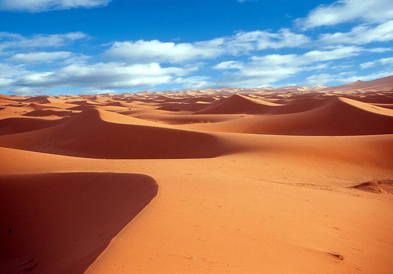 Camp Desert Stars M'Hamid Dış mekan fotoğraf